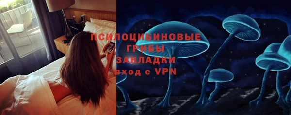 трава Ростов